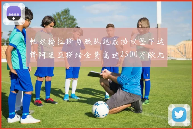 帕尔梅拉斯与狼队达成协议签下边锋阿里亚斯转会费高达2500万欧元
