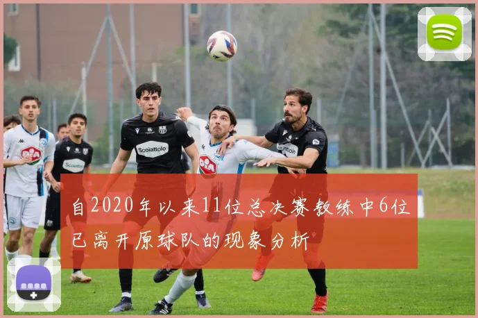 自2020年以来11位总决赛教练中6位已离开原球队的现象分析